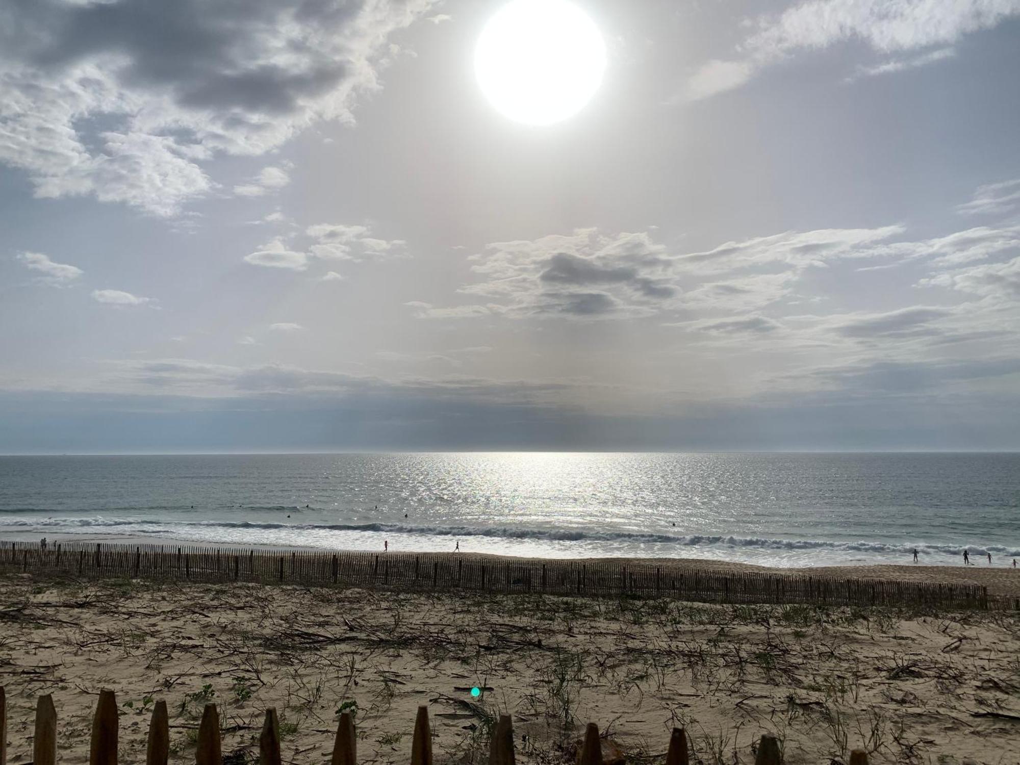 Appartement Rez-De-Chaussee Entre Dunes Et Ocean Lacanau Eksteriør bilde